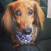 Stephanie Poland's photo
