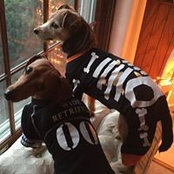 Paula Hodder's photo