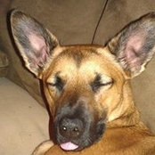 Chelsi Womack's photo