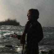 Teri Brazillさんの写真