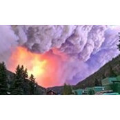 Carole Fleming's photo
