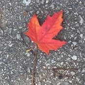 Foto von Tanya Andrzejewski