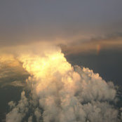 Joe Trainor's photo