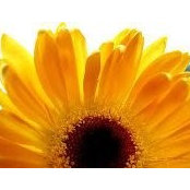 Wanda Blitchington's photo
