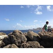 Avi Horwitz's photo