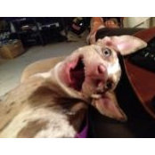 Kathie Jan's photo