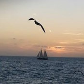 Lynn Quick's photo
