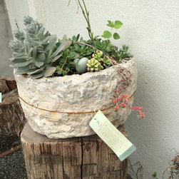 Spring Outdoor Collection - Products