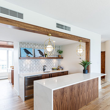 Condo Renovation