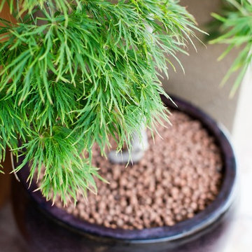 Zen Garden Design - San Diego