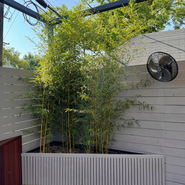 Windsor Terrace, Brooklyn Shade