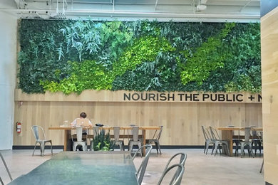Great room - large modern great room idea in San Francisco with green walls