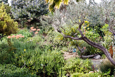 Inspiration for a mediterranean landscaping in Los Angeles.