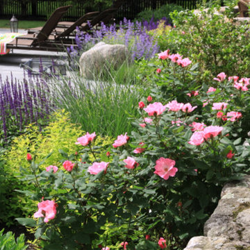 Coastal plantings, June 2014