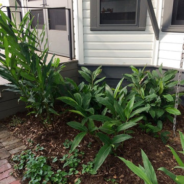 Relaxed Southern Garden