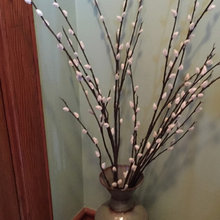 annie_greenfeld's ideas