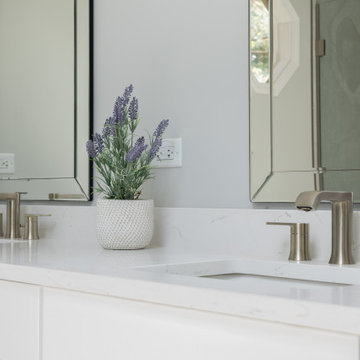 Elgin Master Bath Remodel