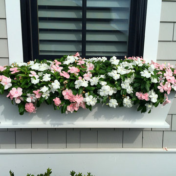 Flower Boxes/Pots/Windows