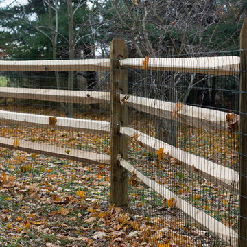Split Rail in Media