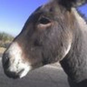 Reem Mourad's photo