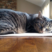 Mopar426 Slack's photo