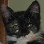 Gail Stapleton's photo