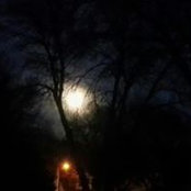 Cody Terwilliger's photo