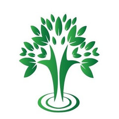 Big Orange Tree Services