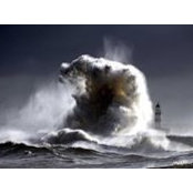 Andrea Marotti's photo