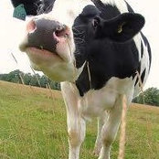 Mary Sackett's photo