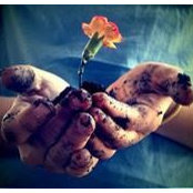 Alexander Xavier Chang-Sam's photo