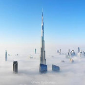 Nadine Sawaf's photo