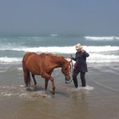 Monique Ruiz's photo