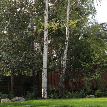 SWEDISH FLAME IN WOODS