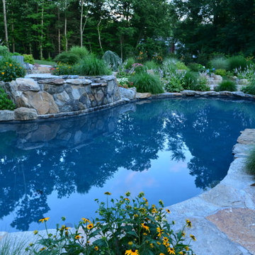 Pool/spa with ledge