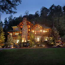 Conifer landscapes