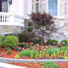Front Landscaping