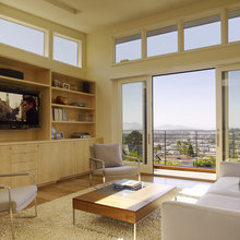 Living Room Door