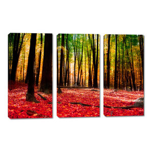 Autumn Forest With Red Leaves 3 Piece Painting Print On Wrapped Canvas Set Ceiling Fixture Chandeliers Ceiling Fixtures