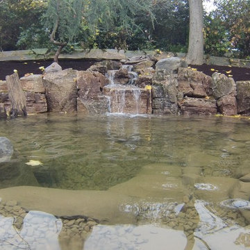 Wisconsin Weathered Moss Rock and Driftwood Ecosystem Pond