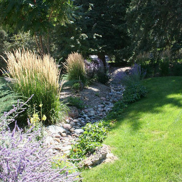 Dry creekbed for drainage