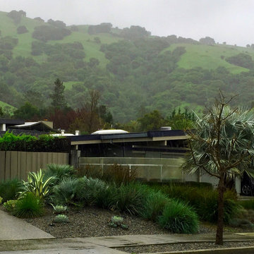 Eichler Refresh San Raphael CA