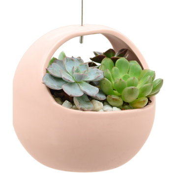 Ceramic Air Planter, Basket Style, 4.5x4.5", Coral