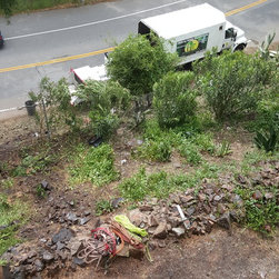Brush clearance on topanga ca - Products