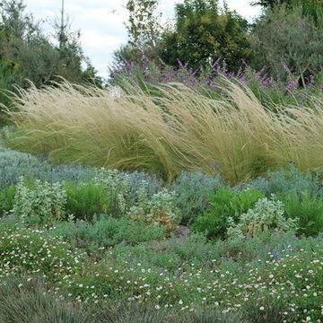 Giardino mediterraneo moderno