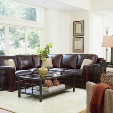 Transitional Living Rooms