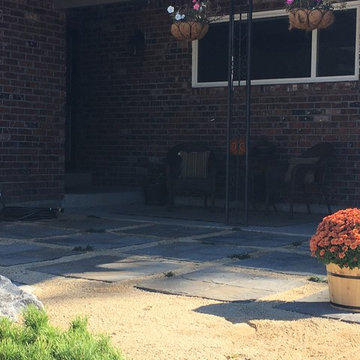 Sharon Xeriscape
