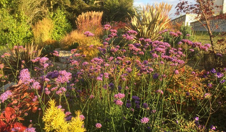 8 Garten-Ideen, die im November Freude machen