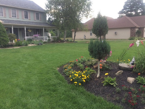 Landscaping Around Septic Tank In, Can You Landscape Over Septic Field