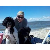 Paul Fehling's photo